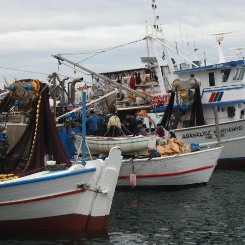 ΑΠΕΛΠΙΣΙΑ στους ψαράδες – Η παράκτια αλιεία στη χώρα μας ξεκληρίζεται!