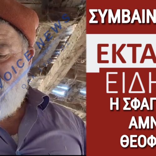 ΤΩΡΑ ΣΦΑΖΟΥΝ ΤΑ ΖΩΑ! ΤΑΦΟΠΛΑΚΑ ΣΤΟ ΜΑΝΤΡΙ ΤΟΥ ΤΣΟΠΑΝΗ ΑΠΟ ΤΟ ΜΙΚΡΟ ΜΟΝΑΣΤΗΡΙ! (ΑΠΟΚΛΕΙΣΤΙΚΑ ΒΙΝΤΕΟ & ΕΙΚΟΝΕΣ)