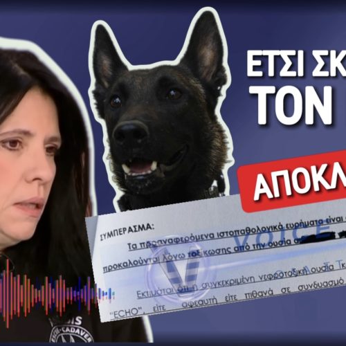 ΑΠΟΚΛΕΙΣΤΙΚΑ ΕΓΓΡΑΦΑ! ΜΕ ΔΥΟ ΔΗΛΗΤΗΡΙΑ ΣΚΟΤΩΣΑΝ ΤΟΝ ECHO!