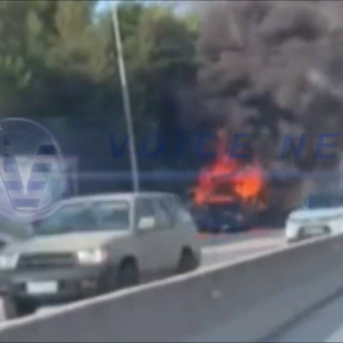 ΠΑΡΑΝΑΛΩΜΑ ΤΟΥ ΠΥΡΟΣ ΝΤΑΛΙΚΑ ΣΤΟ ΔΕΡΒΕΝΙ ΘΕΣΣΑΛΟΝΙΚΗΣ!!! (BINTEO)