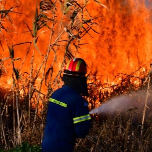 Πύρινος εφιάλτης στη Βοιωτία – Επιχειρούν 625 πυροσβέστες