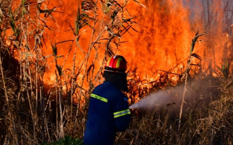 Πύρινος εφιάλτης στη Βοιωτία – Επιχειρούν 625 πυροσβέστες