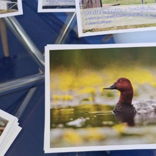 Οι περιοχές της Κεντρικής Μακεδονίας που ανήκουν στο Δίκτυο Natura 2000
