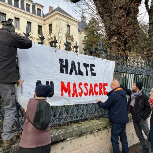Ευλογιά στα ελληνικά αιγοπρόβατα, οζώδης δερματίτιδα στις Γαλλικές αγελάδες (Βίντεο)