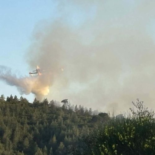 Εκτός ελέγχου η φωτιά στη Σκιάθο; Όλες οι εξελίξεις από το μέτωπο του Πλατανιά!
