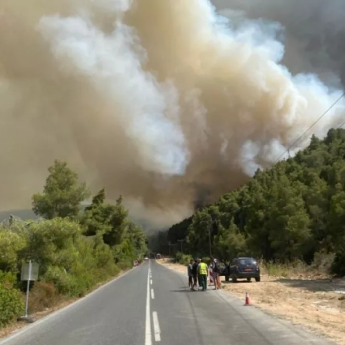 Χαλκιδική: «Απαγόρευση κυκλοφορίας» λόγω υψηλού κινδύνου πυρκαγιάς – Δείτε τις περιοχές