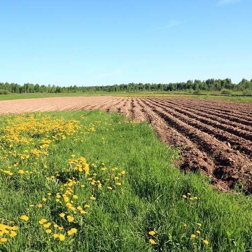 <p>plow field</p>
