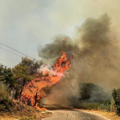 Τι είναι η μέθοδος «Αντιπύρ» που χρησιμοποιήθηκε στη Ζάκυνθο;