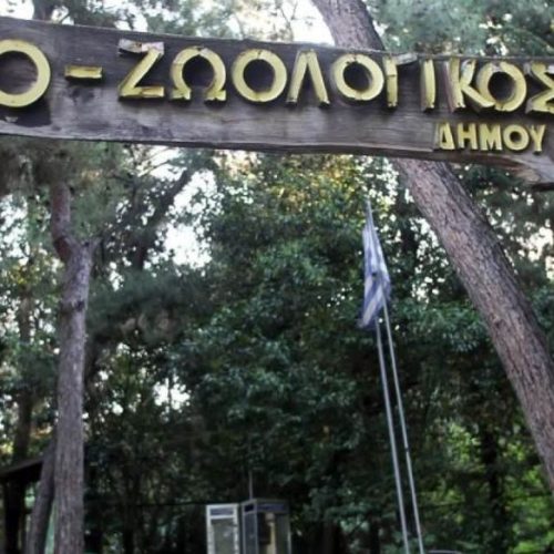 Θεσσαλονίκη: Αναστολή λειτουργίας του Ζωολογικού Κήπου «για λόγους πρόληψης και προστασίας της δημόσιας υγείας» – Τι εντοπίστηκε