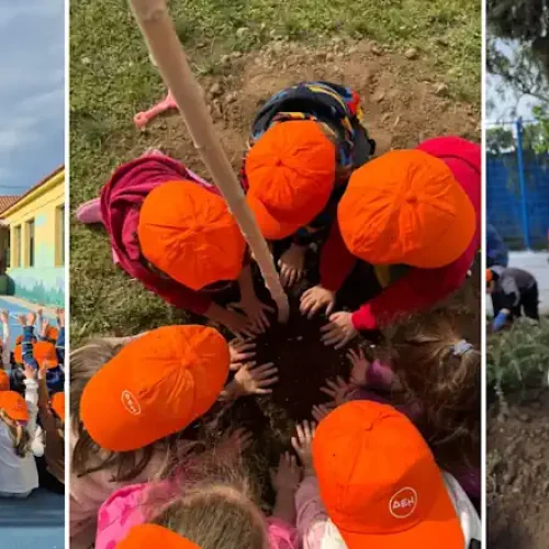 ΔΕΗ – WE4ALL: Συνεργασία για την ολιστική αναγέννηση της Βόρειας Εύβοιας